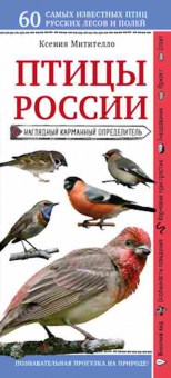 Книга Птицы России Нагл.карм.определитель (Митителло К.Б.), б-10575, Баград.рф